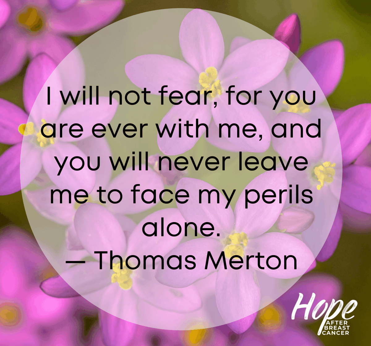 HopeAfterBC tweet picture