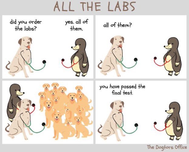 never forget. to check on all of the labs.