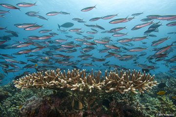 UNBiodiversity's tweet image. What would you like first, the good news—or the good news? 🤗

Here are 10 places around the world where conservation is doing big things: nature.ly/3CPMt7g

via @nature_org