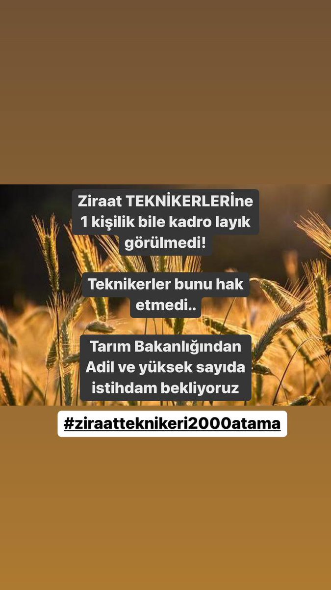 Mustafa97027331's tweet photo. @VahitKirisci Türkiyenin Yüzyılı hedeflerne ulaşmadaki büyük vizyonunda ZİRAAT TEKNIKERLERİ OLARAK GÖREV almaya hazrız vekilim  
@kilicdarogluk 
@RTErdogan
@BY
@dbdevletbahceli
@fuatoktay
@VahitKirisci
@rizaposaci 
@cbsbb @senelibrahim_
@drnihatpakdil 
@ibrahimyumakli
#ziraatteknikeri2000atama https://t.co/Wuwh9azGLf