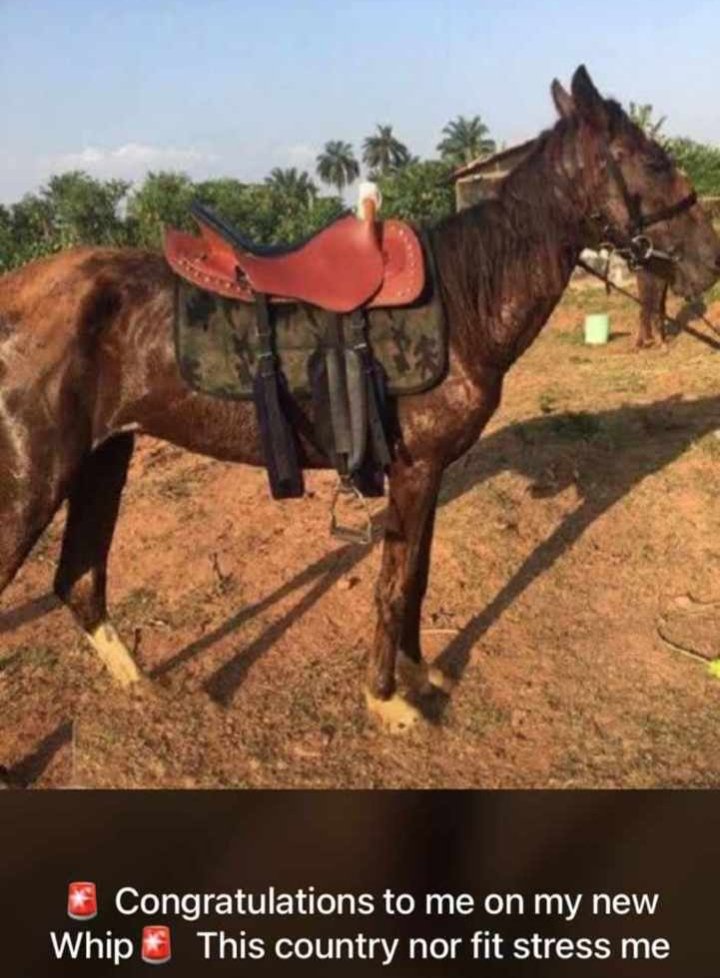 ConstantFranci7's tweet photo. @bod_republic E no need fuel⛽😪 na water he go drink https://t.co/fQUNB7zWYy
