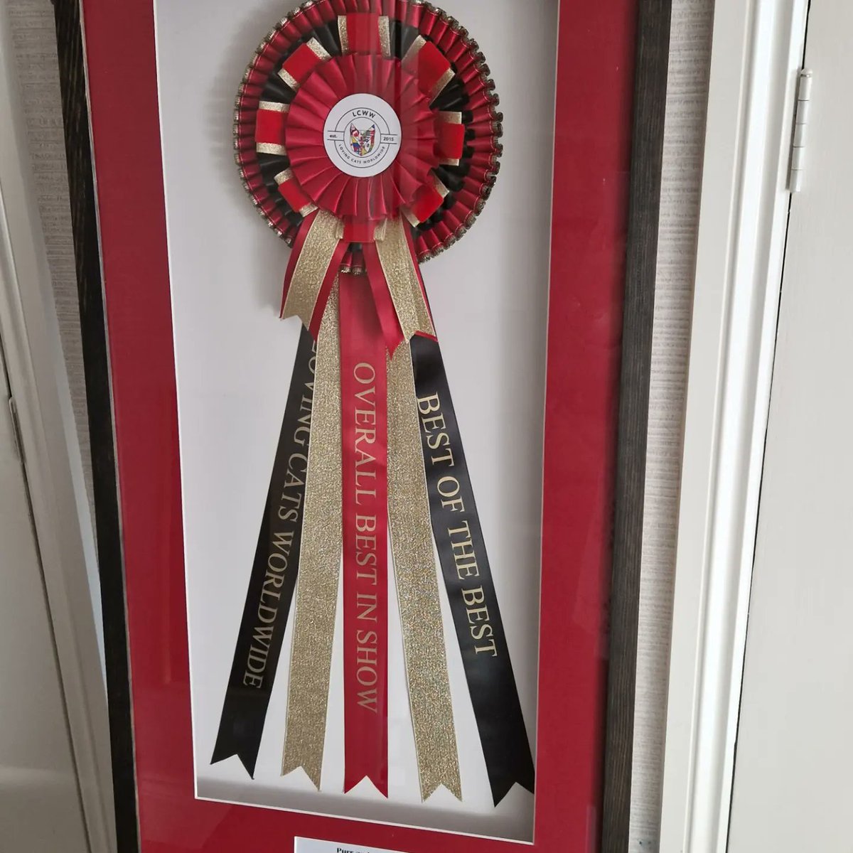 CertifiKats's tweet photo. Delighted to be asked to make this frame for @LCWWGroup for the Purr and Fur cat club show in Solihull tomorrow 😻

#lcww 
#Caturday 
#catshow 
#CatsOfTwitter 
#cats 
#showcats 
#rosette 
#rosetteframe 
#frames https://t.co/BB6Qvrkx9Z