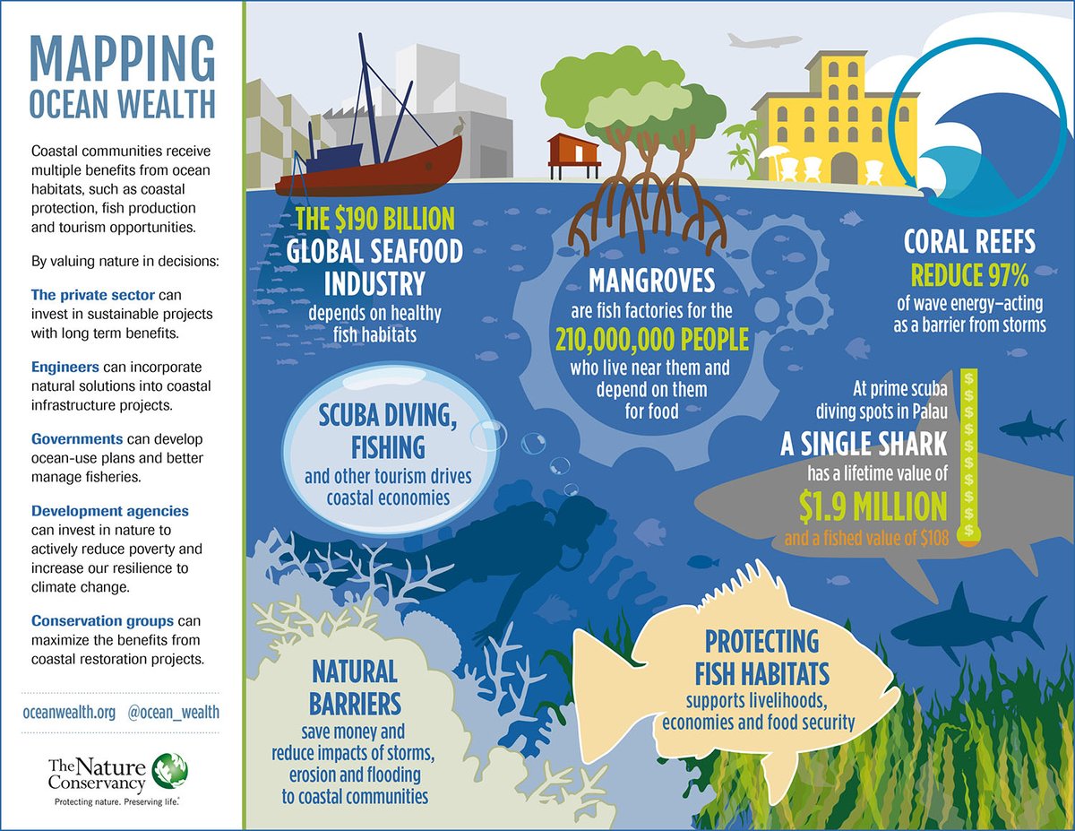 Coastal communities receive multiple benefits from ocean habitats, such as coastal protection, fish production and tourism opportunities. 

Learn more about them below 👇

via <a href="/nature_org/">The Nature Conservancy</a>