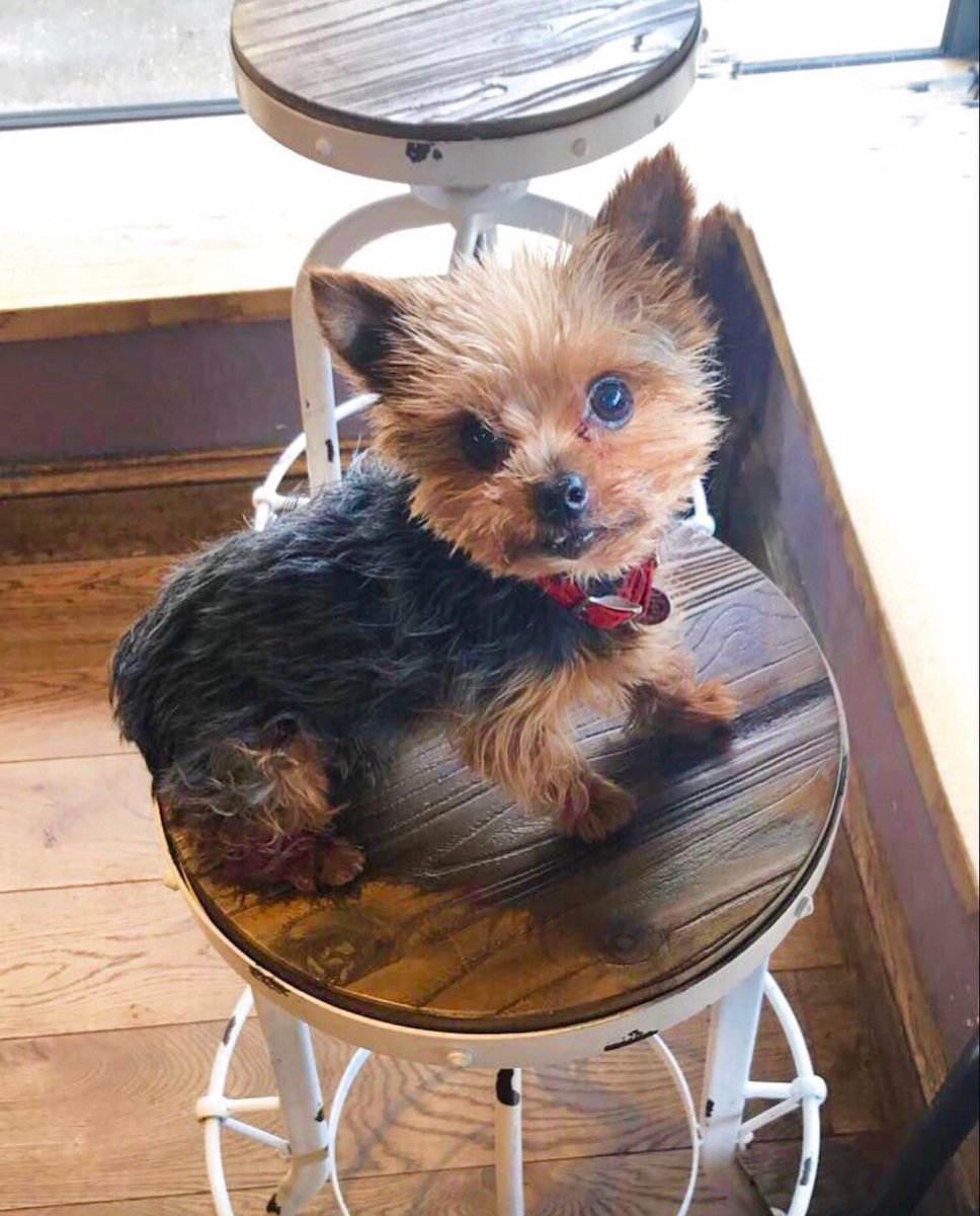 Darren Kennedy tweet media