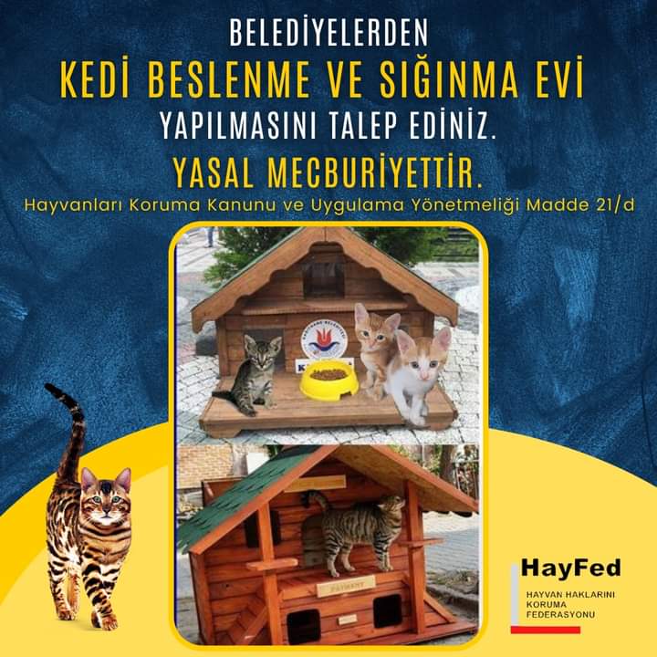 Belediyeler Kedi Beslenme-Sığınma Evi yasal olarak yapmak zorunda. TALEP EDİNİZ.
KEDİLERE uzanan hain elleri KIRMAK için, KEDİLERİN de DEVLET KORUMASIN da olduğunu, onların da yanında olduğunu göstermemiz gerek. 🐈+
🖊️DİLEKÇE: m.facebook.com/story.php?stor…