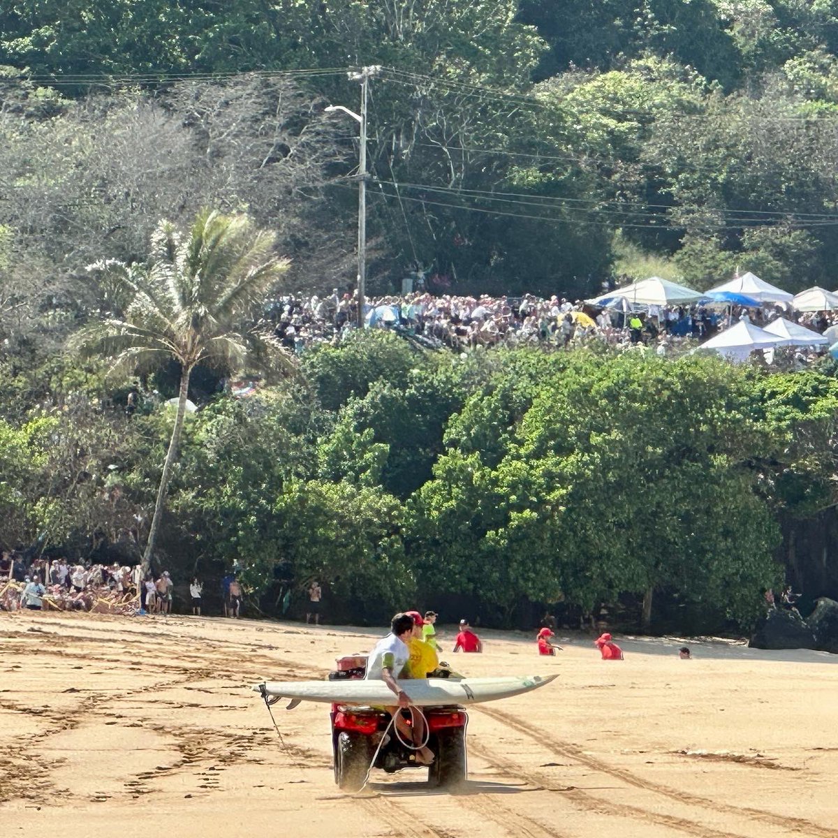 Hans Hedemann Surf tweet media