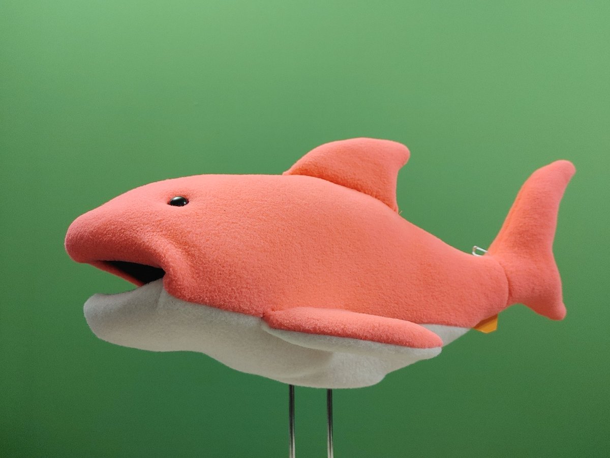 Brett Kelly tweet media