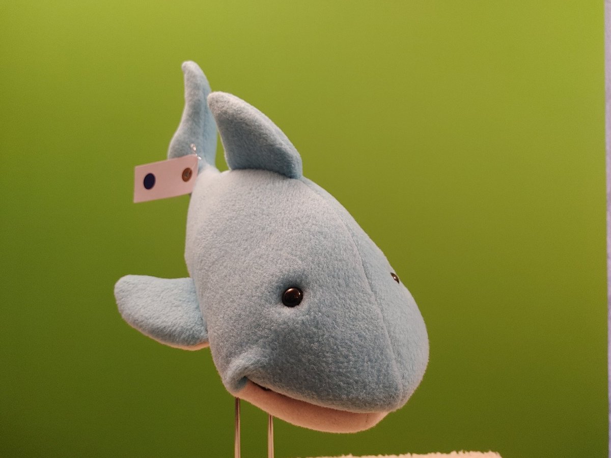 Brett Kelly tweet media