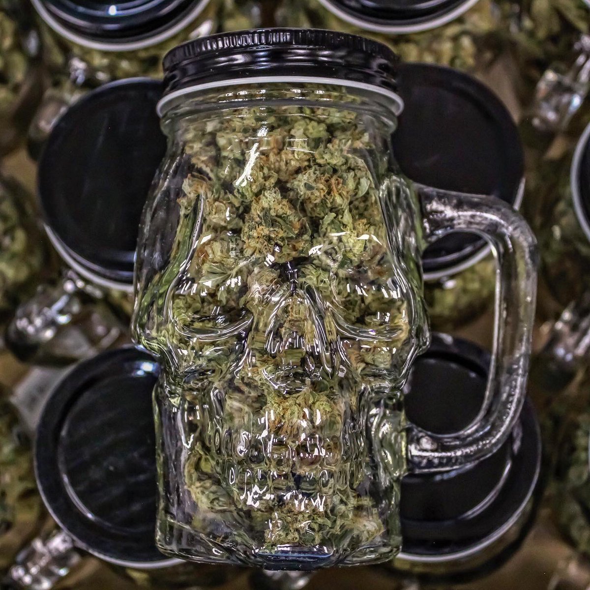 phatpanda's tweet photo. Processing teams are crushing this afternoon and what better way to show it all off then with our signature #ogchem skull jars full of that fire! π #phatpanda https://t.co/Wh2mNS8RFv