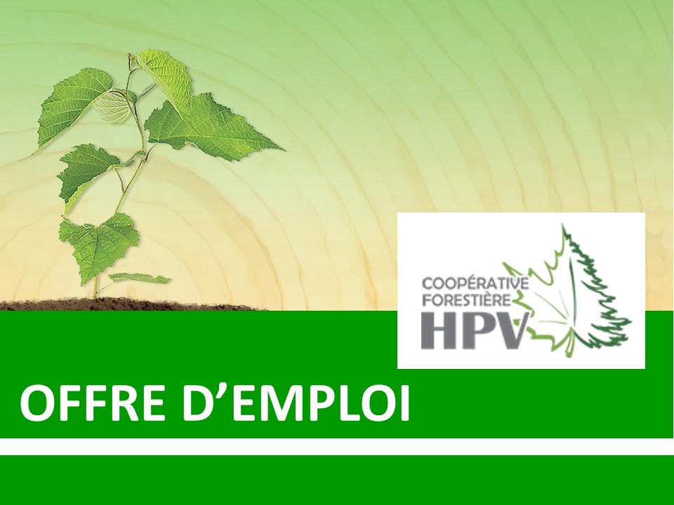 #ingénieur #forestier #aménagement La Coopérative forestière Haut Plan Vert, à Lac-des-Aigles dans la région du Bas-St-Laurent, recherche des candidatures #emploi #job #coop Voir les détails sur notre site. Merci ! bit.ly/3HhqdVx