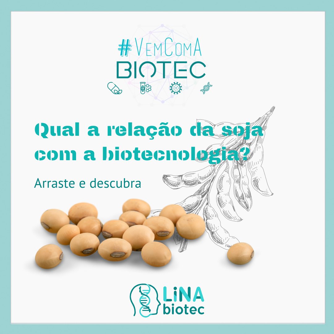 LiNAbiotec's tweet photo. Hoje, no último dia de Vem com a Biotec, falaremos a respeito da relação da soja com a biotecnologia e porque esse setor vem se destacando no Sul do país! 

Quer saber mais sobre o assunto? Confere aí embaixo 💙

#biotecnologia #unidaforteatuante #sul #soja #vemcomabiotec https://t.co/B31OzouMDt