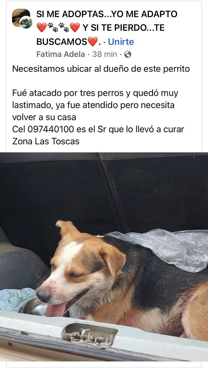 Adriana (@adriana43587622) on Twitter photo 