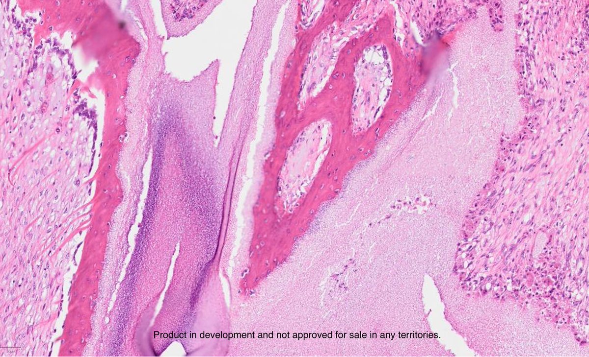 LocateBio tweet media