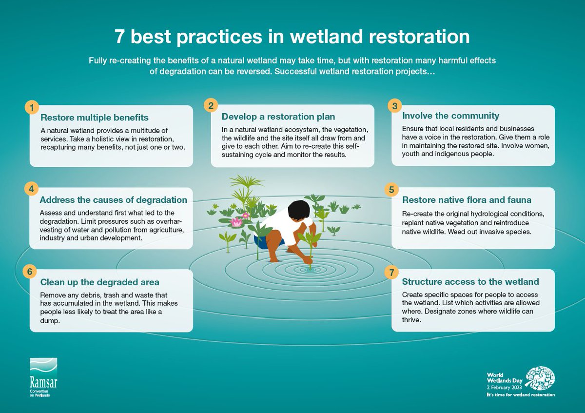 Society of Wetland Scientists (@sws_org) on Twitter photo It will take time… 
We can reverse degradation and restore our wetlands. Here are 7 best practices to start.
 
🎉Today is #WorldWetlandsDay! 🎉
#GenerationRestoration 
#ForWetlands
👉 worldwetlandsday.org It will take time… 
We can reverse degradation and restore our wetlands. Here are 7 best practices to start.
 
🎉Today is #WorldWetlandsDay! 🎉
#GenerationRestoration 
#ForWetlands
👉 worldwetlandsday.org
