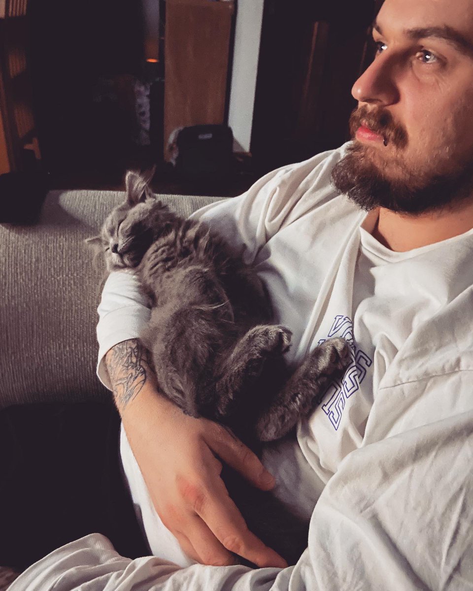 Dizzystaceuk's tweet photo. @michaelscat2 Ours has taken to being treated like a baby, I’m assuming it’s normal behaviour lol https://t.co/7T01jzoxRJ