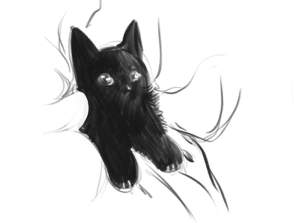 CarrieRLeBlanc's tweet photo. Must draw faster
#catmemes #catart #cat #art #cats #catsofinstagram #digitalart #drawing #artist #catdrawing #catartist #catlover #illustration #catlovers #artwork #catstagram #artistsoninstagram #animalart #catillustration #catartwork #catlife #catpor… https://t.co/eIngmmyFmF https://t.co/CboAo6KKlz