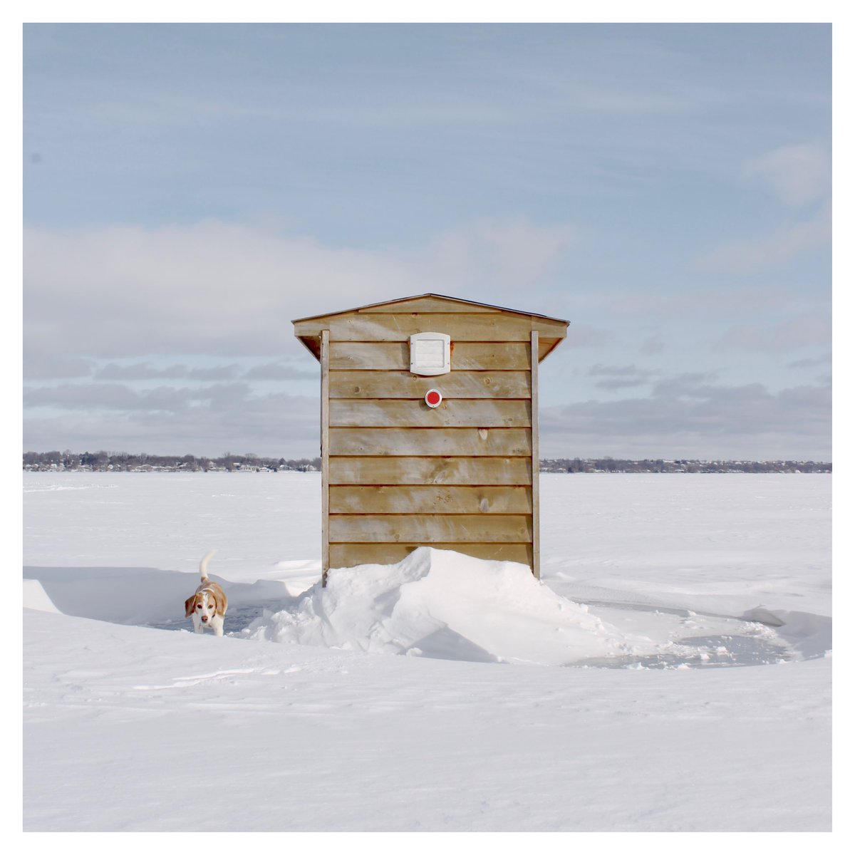 sarahamartin's tweet photo. Someone always tries to steal the shot. 🐶 #icehut #iceshack #photography #beagle https://t.co/LcGvaT4ve2