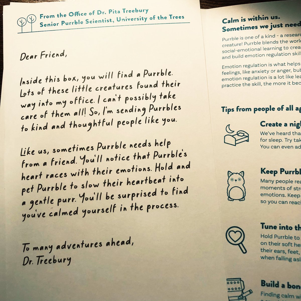 Thank you <a href="/sparklebot/">Selma Sabanovic</a> for this cute little one! Officially debuting as a companion robot owner 🤖💙 #Purrble #Purrbleとの暮らし
 Such cute packaging!