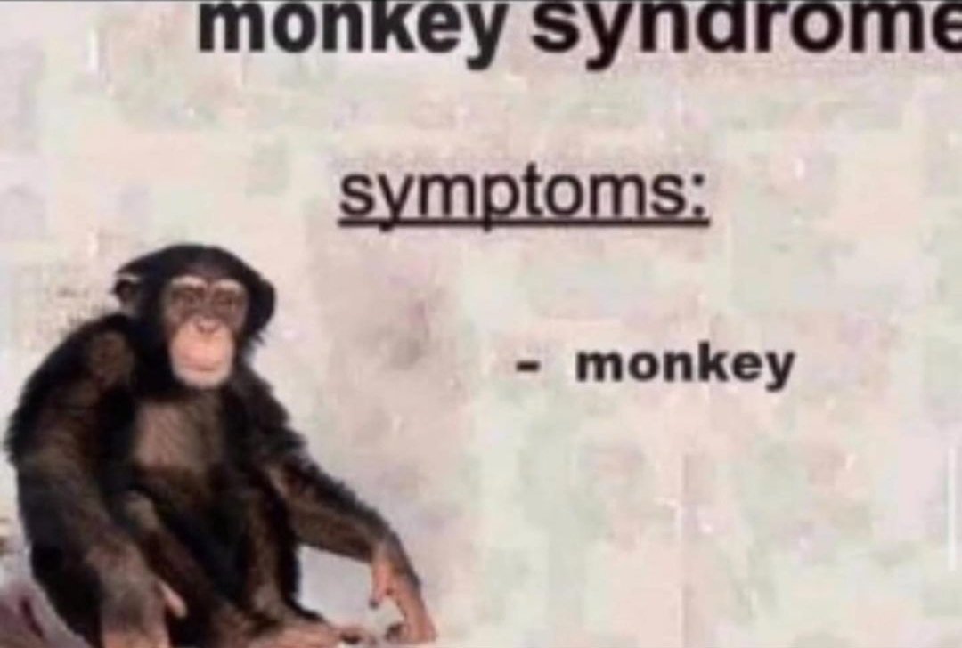 Vandals 🇩🇴 #RDUP tweet media