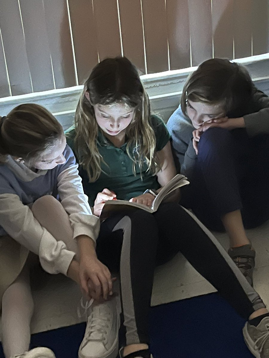 Leila Kanzer tweet media