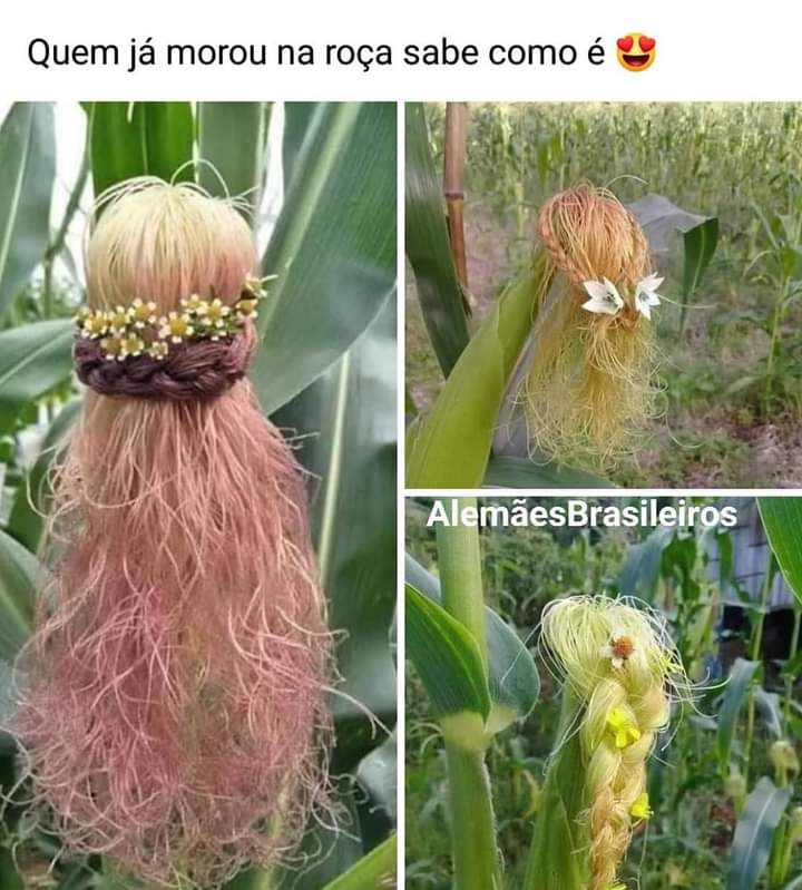 Sdv sempre e indico. 

<a href="/_Fiel_Seguidor/">ƒiєℓ sєgυi∂σr 🇮🇱</a> 
@_Rosy_38 
<a href="/flejmb/">Mosqueteira🌸</a> 
<a href="/Patriota_On/">Patriota_On_Fire🇧🇷💚🔥🖤👔</a> 
<a href="/LaFenix61/">La Fênix</a>
<a href="/HenriqueSistran/">Henrique Carvalho</a> 
<a href="/jkmoliveira/">Cearense do 🔥 🇧🇷🇧🇷🇧🇷🇧🇷🇧🇷🇧🇷</a> 
<a href="/CameloJubeni/">Jubeni Fideles Camelo</a> 
<a href="/VanilsonborgesB/">vanilson Borges</a> 
<a href="/OmarClo1/">Omar Pereira 🇧🇷🇮🇱🇺🇲🙏💚</a> 
<a href="/DireitaBoa/">de Deus</a> 
@patrioa_833 
@anjodourado33 
@M_Angela55 
<a href="/zilafusaro7/">Zilá Maria🇧🇷⚘️💫💫💫</a> 
<a href="/Marcos_11_66/">Marcos</a> 
<a href="/MarcoProcopioJ1/">Marco Procópio Jr.</a> 
<a href="/VillamarksBrito/">Villamarks B.Bezerra🇧🇷🇧🇷🇧🇷 SDV</a>