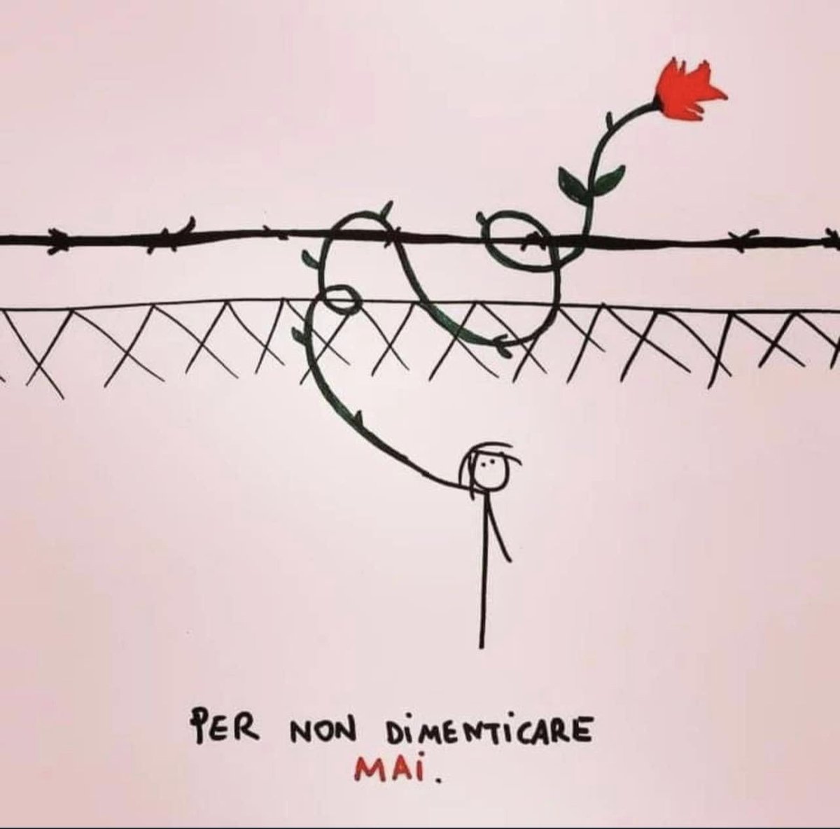 AvvFasano's tweet photo. Buongiorno, care Amiche ed Amici. Oggi, venerdì 27 gennaio, è “Il Giorno della Memoria”, ricorrenza internazionale, celebrata ogni anno come giornata per commemorare le vittime dell'Olocausto. Il 27 gennaio 1945 fu il giorno della liberazione di Auschwitz da parte degli Alleati! https://t.co/xL0tXKxatU