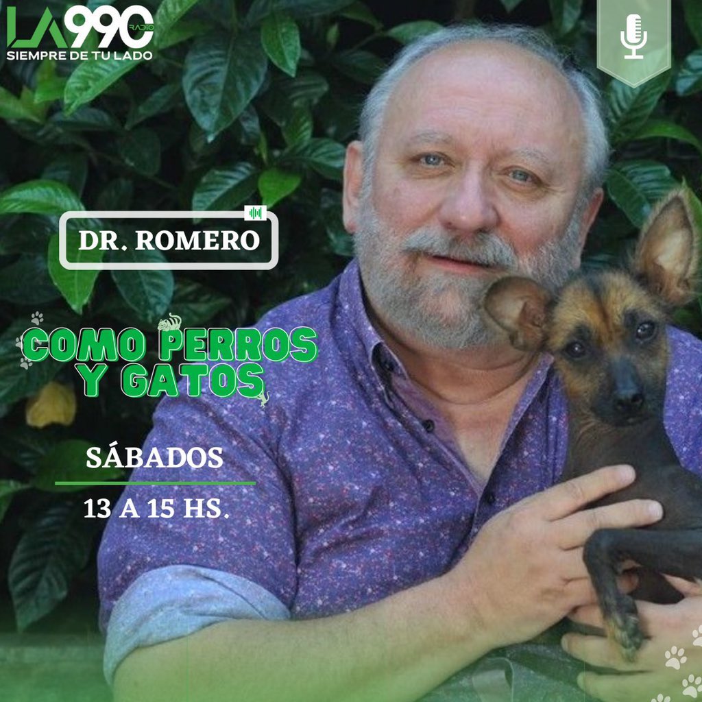 splendidam990's tweet photo. 💥 ¡Mañana no te pierdas #ComoPerrosYGatos, con la conducción de @drromerook!

👉🏻 Sábado de 13 a 15 hs. 
📲 Te leemos al 11 3828 0990.
💻 Escuchanos por la App. La 990 o en https://t.co/j5YjpoouEK

#LA990, siempre de tu lado. https://t.co/opV1k6zDQG