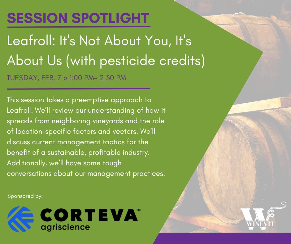 Need pesticide credits? Be sure to attend the Leafroll: It's Not About You, It's About Us session at WineVit®! This session qualifies for 1 pesticide credit in Washington and Idaho.

Register today for WineVit®: winevit.org/registration-f…