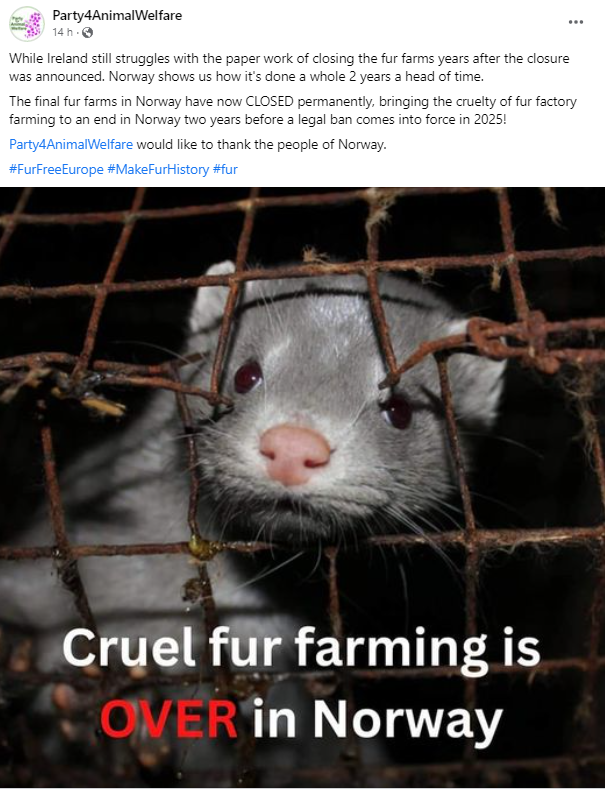 While Ireland still struggles with the paperwork of closing the fur farms years after the closure was announced. Norway shows us how it's done a whole 2 years ahead of time.  Party4AnimalWelfare would like to thank the people of #Norway.
#FurFreeEurope #MakeFurHistory #fur