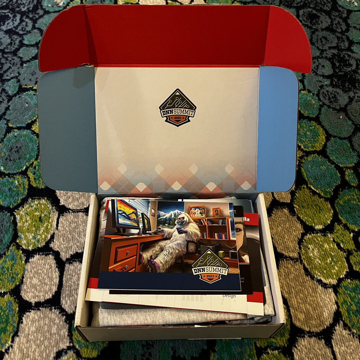 DNN Diva tweet media