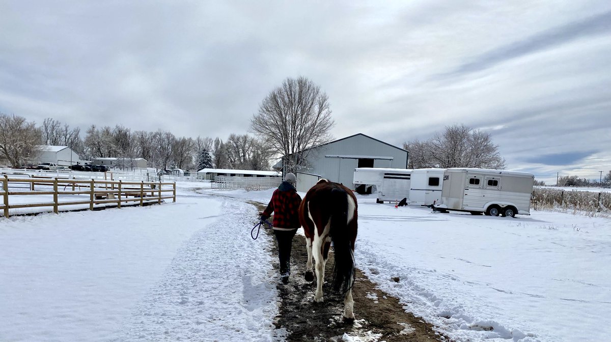 Looking for something to do next week that gets you outside and around animals while also serving as a workout? We need volunteers to help with mucking stalls, feeding the horses and more barn chores from January 31-February 4. Sign up at m.signupgenius.com/#!/signUps/fin… to help us out!