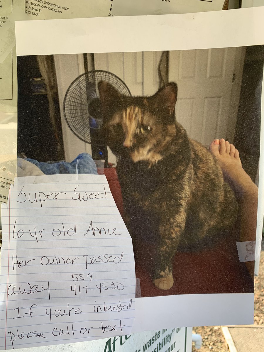 KendraStaub's tweet photo. Posted in my complex. Someone take her her please 🥹 I wish I could https://t.co/JYhJPyxLE1