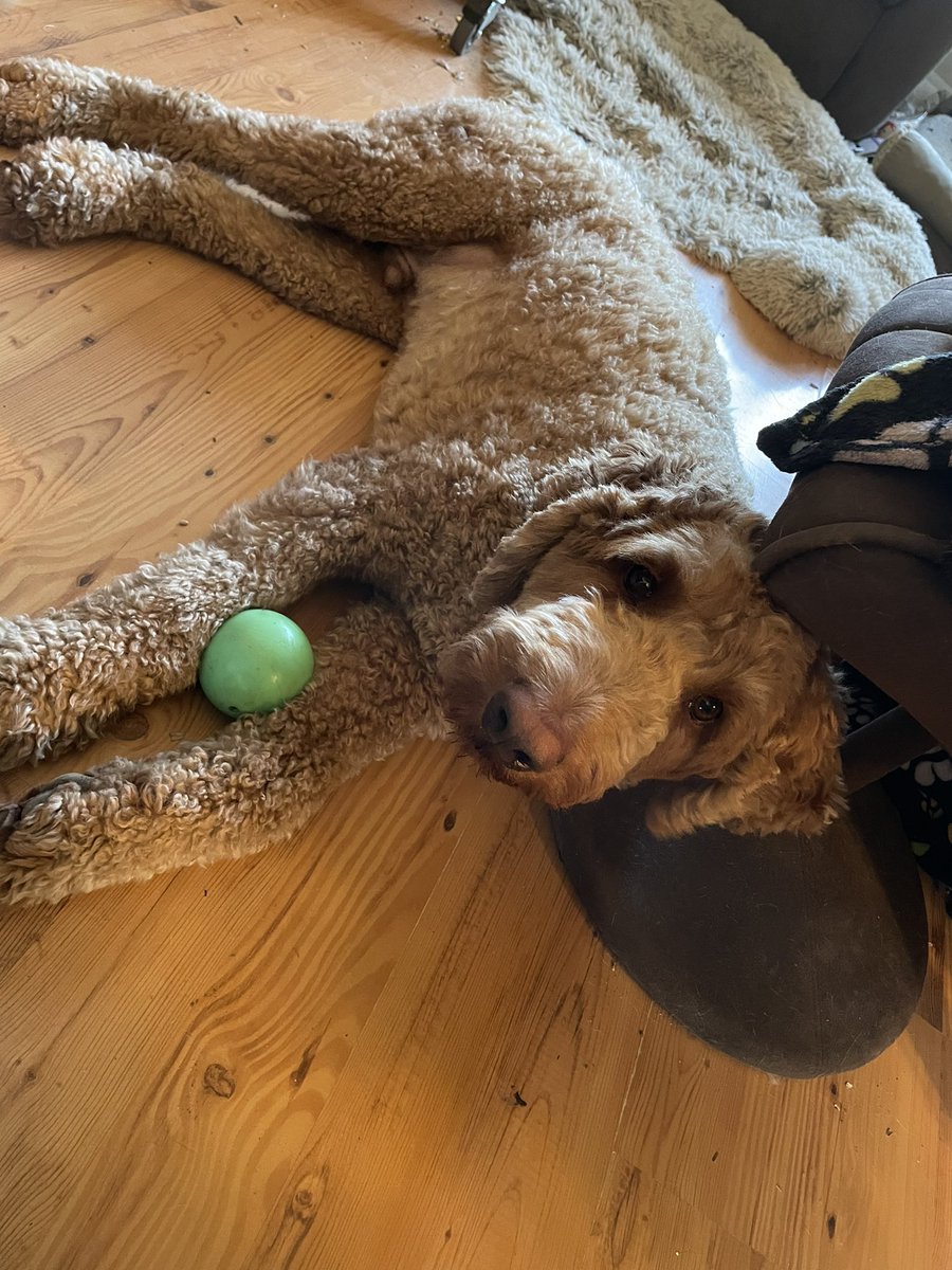 Mom: Kodi, I can’t play right now, I have to work
Kodi: