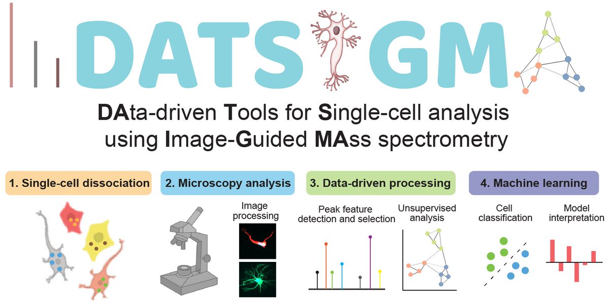 RichardYuxuan's tweet photo. 📖Our data-driven+#MachineLearning  framework for open-source processing single-cell MS data are online @JProteomeRes. We benchmarked on six image-guided single-cell MS datasets across various instruments &amp; species.

Article: https://t.co/QHyBaLNUAM
Code: https://t.co/xGh0aribWM https://t.co/aDM8oFmkzi