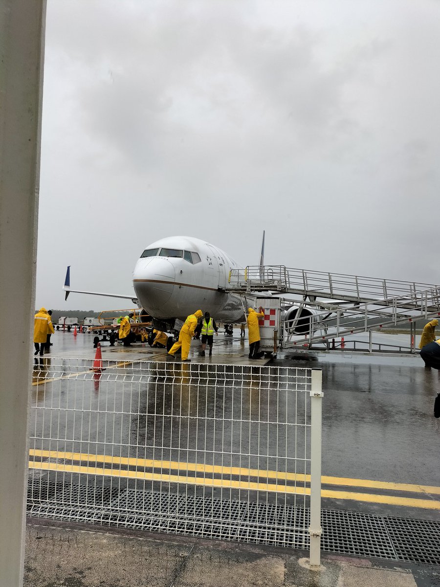 Flor Mar tweet media