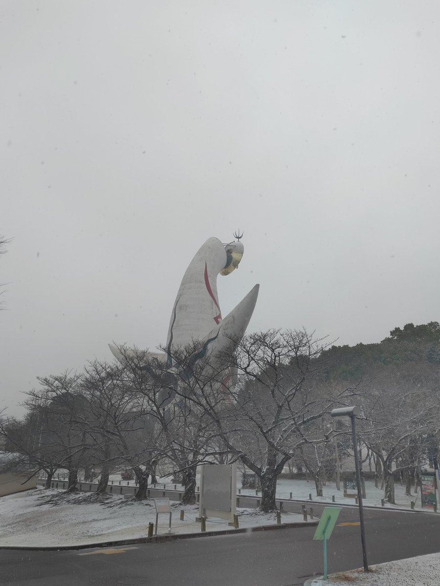 LIVINGPARKbp's tweet photo. おはようございます♪

万博記念公園は本日もなかなかの白銀世界です♪

澄んだ空気と白雪に陽射したキラキラが本当に美しいです♪

暖かいドリンクを用意してお待ちしております♪(o´艸`)
 今日も良き日に♪

 #万博  #白銀 
 #企業公式相互フォロー https://t.co/iQ7qEUO5yg