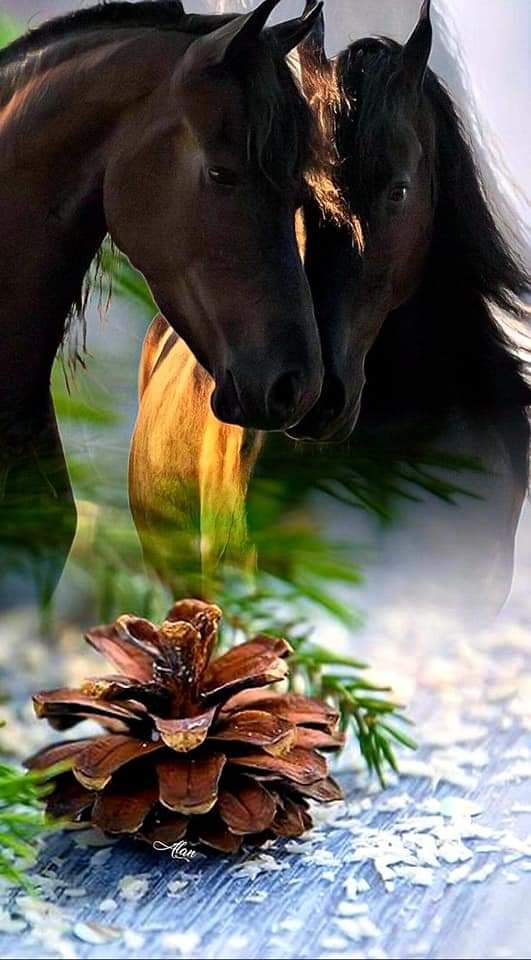 #loyal #AMY🅰️
<a href="/Alaayous3/">alaa amy</a>
<a href="/y11j3/">ابو محمد</a>
@foz3x3
<a href="/_HZTT/">عيون المها 🇮🇶</a>
@zari__h
@1Nzia
@saf__er
<a href="/mmdjbl9/">سفير الاشواق</a>
@3b__r5
@fr__z5
<a href="/03l__/">‏˼ ‏᷂نايا ᷂الشھري ˹ 𓂃. 𝄞</a>
@lj0fj 
@9GGGe 
<a href="/tota_a_g/">أمۭــــــــڷ اڷــَحـــڀـــــــــاة</a>
@Tabi_09
<a href="/JJ4HH/">🔥ⓢⓐⓕⓘⓡ⚙️</a>
@sm__k1
@Ozlerntr
<a href="/2ONE_e/">2⃢💋ne</a>
<a href="/LoeNoor/">♡𝒜ℒ𝒢ℰℛℐ𝒜 ♡</a>
@zari__h
@ja__k1
<a href="/loly_aly_1/">حل واجبات حل اختبارات بحوث تخرج حل اسايمنت بروجكت</a>
<a href="/Chuchaji/">🐤🐤چوچا جی 🐤🐤</a>
@S__sv1
@sfy__r1
<a href="/jwdy_34/">جودي🇸🇦</a>
<a href="/SF88R/">⚙️🔥</a>
@Rubaab66
@YM786YM