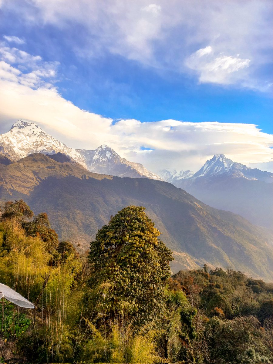 Beautiful Annapurna massif!
.
frolicadventure.com/ghorepani-poon…
.
 #nepal #annapurnabasecamp #annapurna #trekking #himalayas #mountains #travel #abc #adventure #nature #nepal8thwonder #visitnepal #himalaya #hiking #mountain #wanderlust #discovernepal #trek #landscape #travelphotography