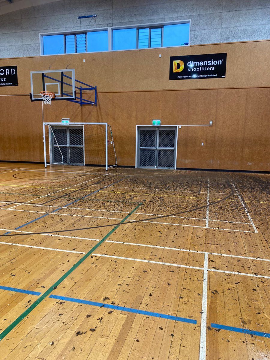 Rosmini Basketball tweet media