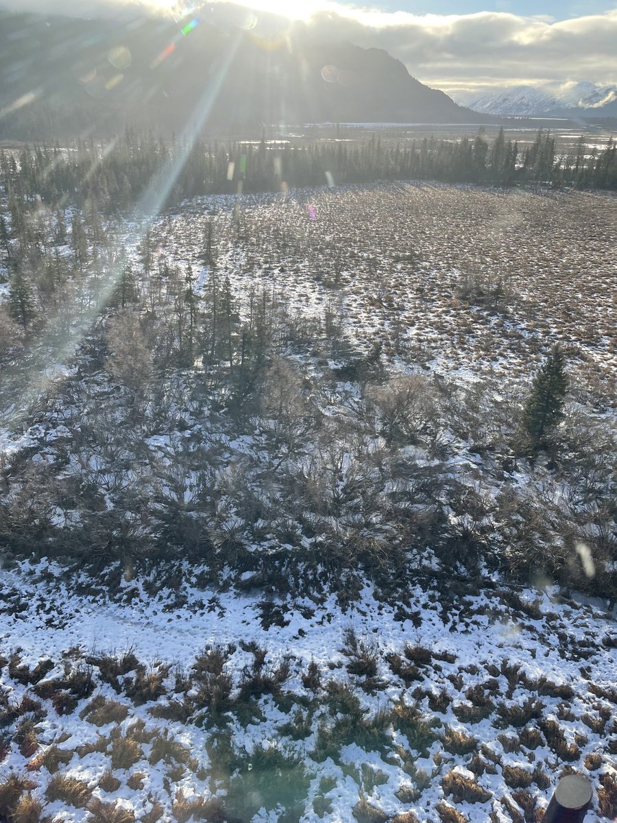 @DSchatteMD tweet media