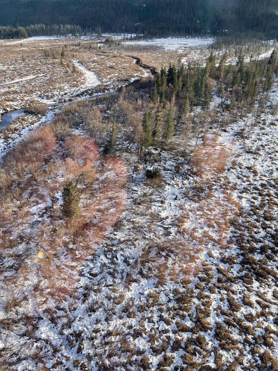 @DSchatteMD tweet media