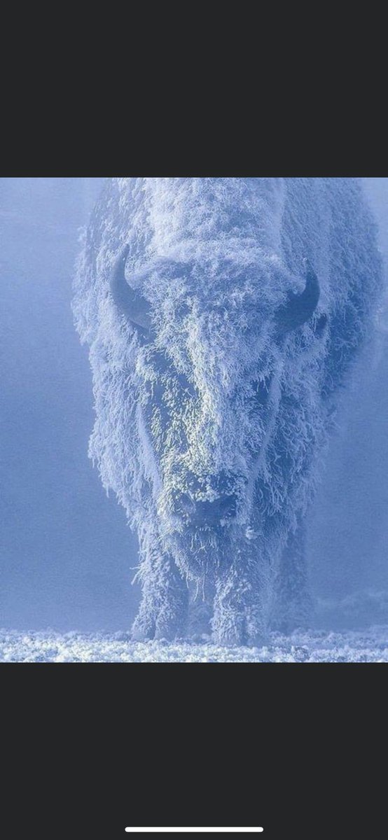 Huge 6’6 in state arm want to join the Herd next year! What a week we have had in Wadley <a href="/Jjeanes24/">John Jeanes</a> #Herd☝🏼