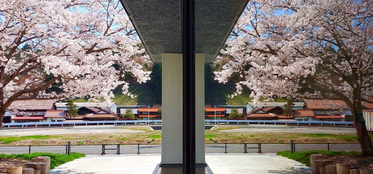 architecture cherry blossoms day east asian architecture grass no humans outdoors  illustration images