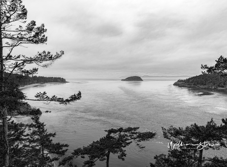 William19073051's tweet image. WS-28-181331099-11178755-5234616-2812023011801
#Hackbridge
#Storden
#Crugey
#Alleyton
#Zossen
#SintanadeMures
#bolatalabi
#rrmedia
#picoftheday
#fineart
#fineartphoto
#photooftheday
#pickoftheday

wsimages.com
randrphotographs.com