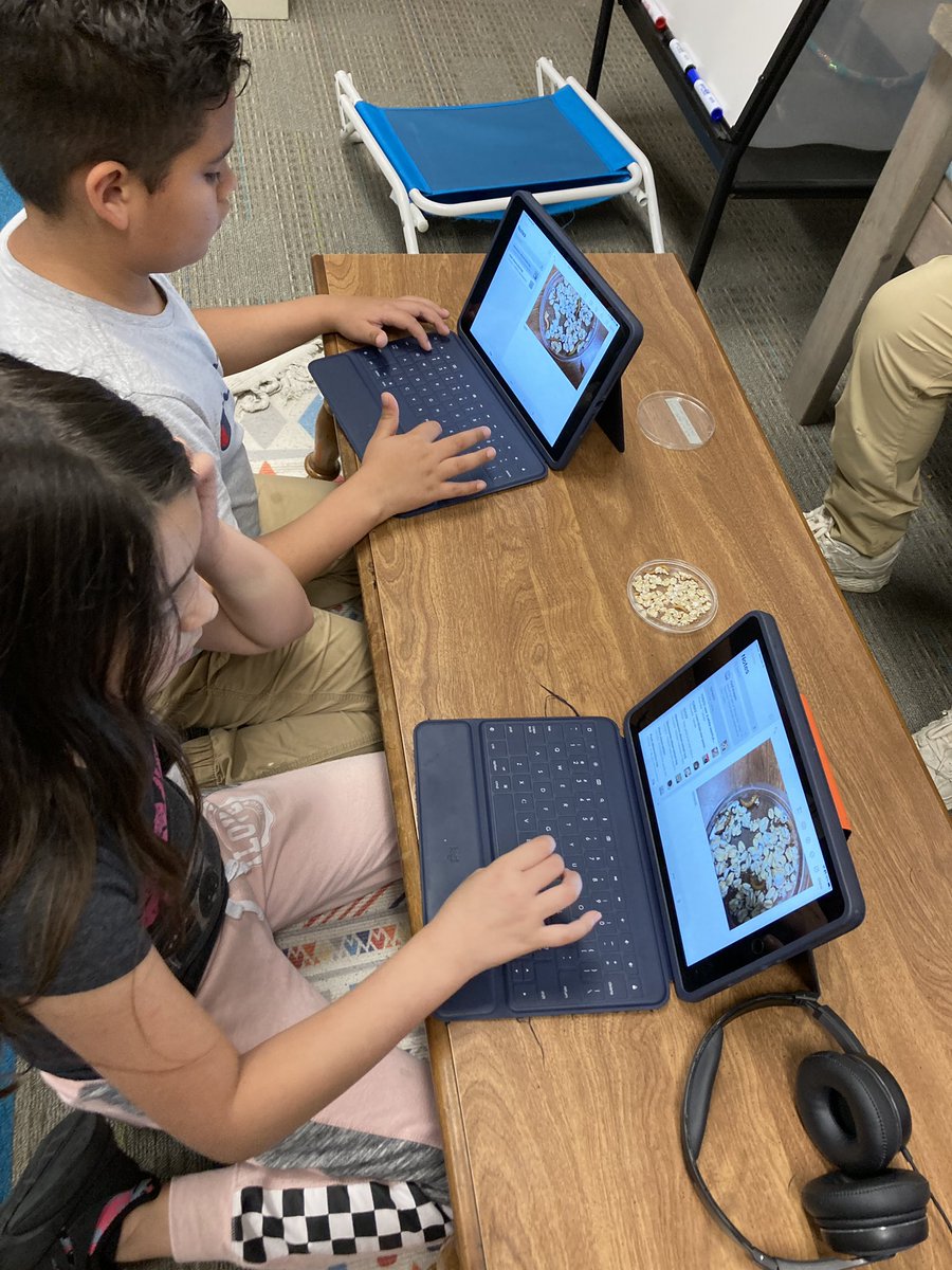 MsPGrade3's tweet photo. We watched our young mealworms grow into adults, but then we had to say goodbye. 🐛 🥲 https://t.co/CZy7b3bkzz