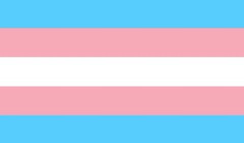 Coco Bandicoot from the Crash Bandicoot franchise is trans aroace!! (hc)