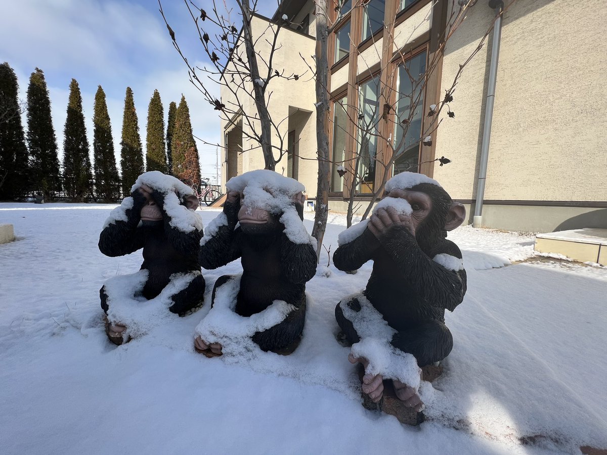 Gohan95071743's tweet photo. 雪降ってキレイだな🥰☃️ https://t.co/p9nbNLpoG5