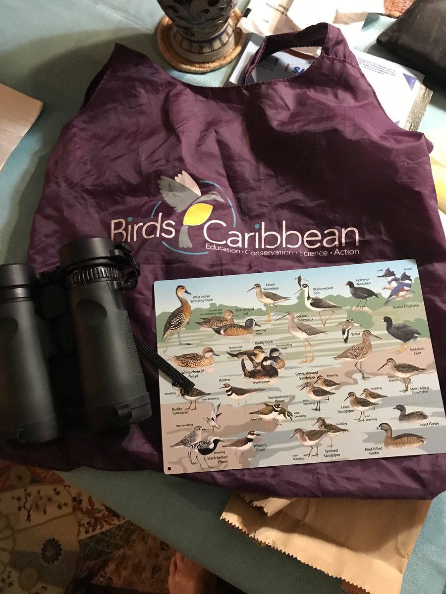 Ready for tomorrow’s birding! #CaribbeanWaterbirdCensus #CWC ⁦@BirdsCaribbean⁩ ⁦@Birdlifejamaica⁩