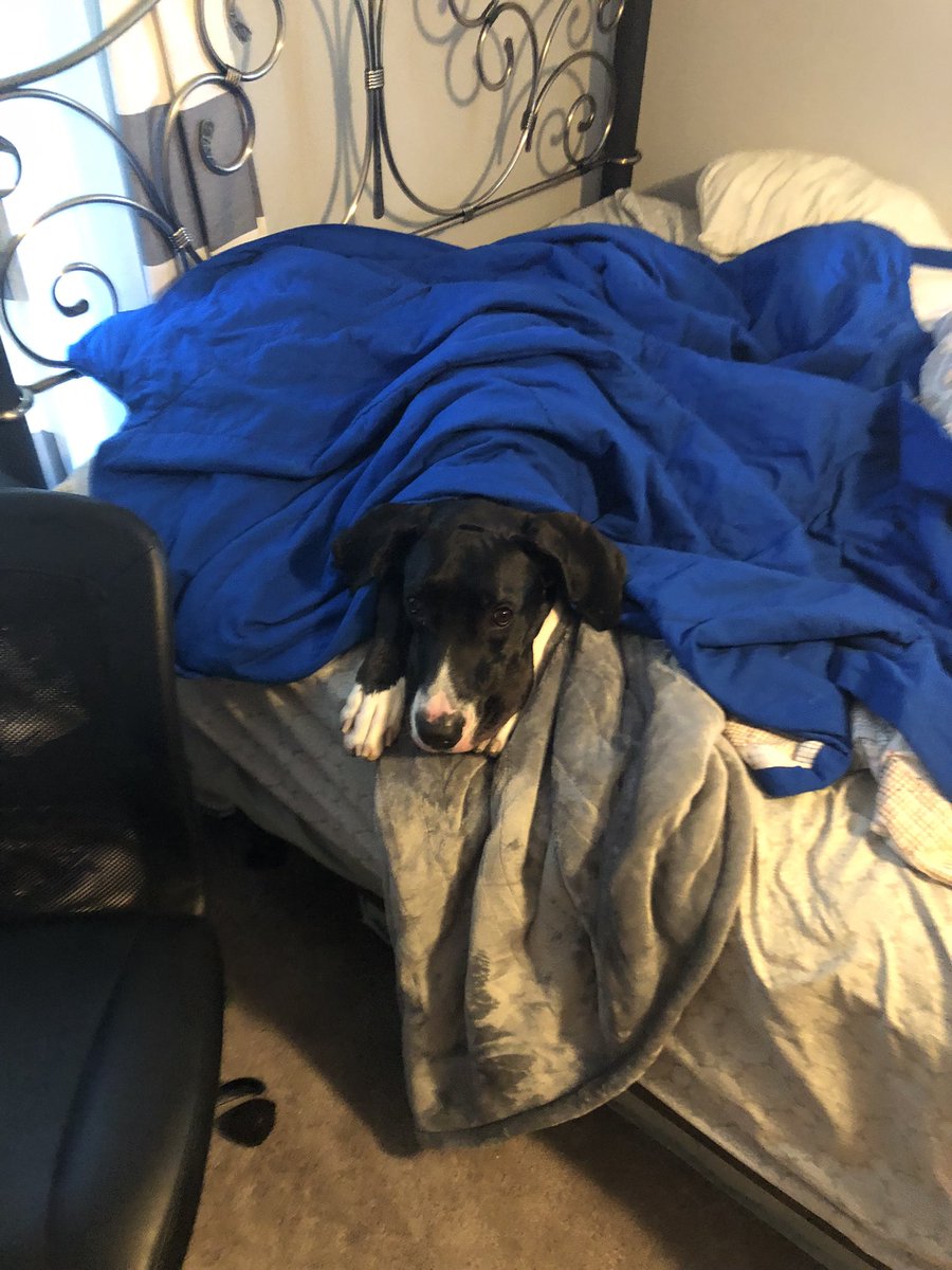 POV: you made it through the week and you just got home from school and you lie down