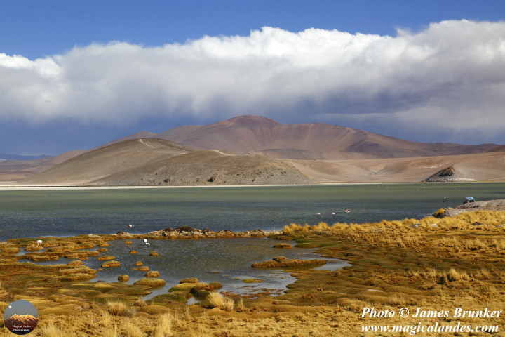 Laguna Santa Rosa, Wonderful #landscapes and #skyscapes in the Puna de #Atacama in #Chile, available as prints and #gifts here: james-brunker.pixels.com/featured/wetla…
#AYearForArt #BuyIntoArt #GiftThemArt #wetlands #lakes #wilderness @TurismoEnChile @CHILE_TOURISM @Chile_Turismo @chileestuyo